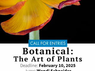 BOTANICAL: The Art of Plants